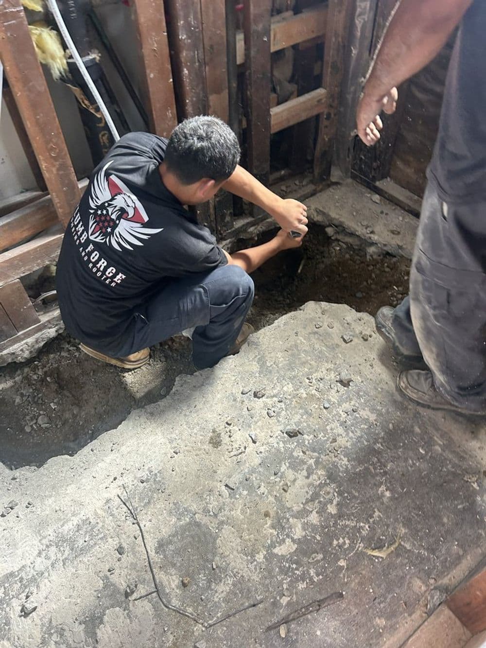 About Plumb Force